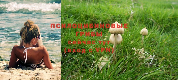 дживик Гусев