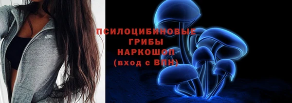 дживик Гусев