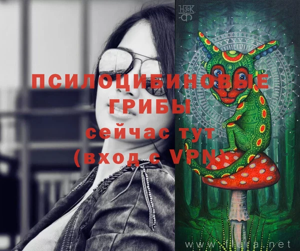 таблы Гусиноозёрск