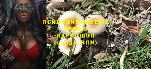 таблы Гусиноозёрск