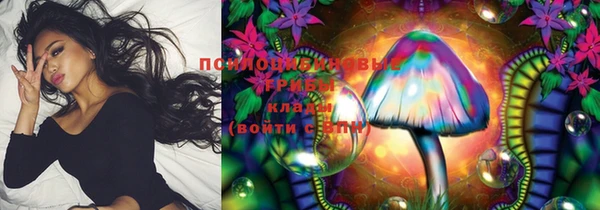 дживик Гусев
